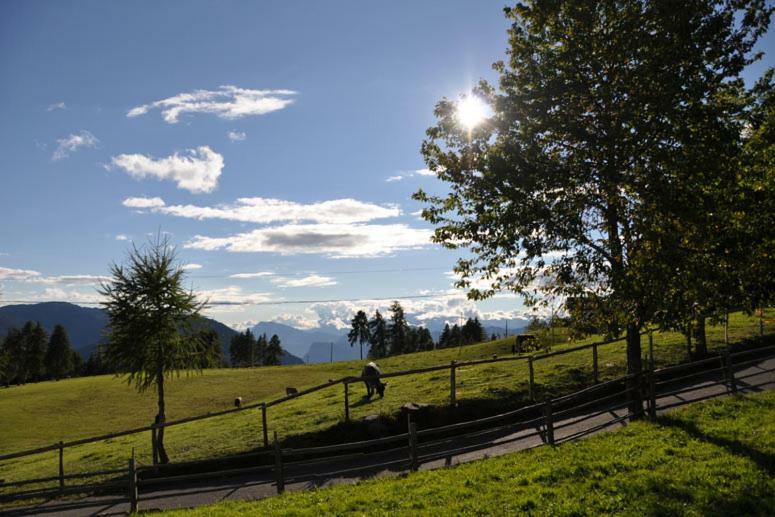Residence Scheidnerhof Aldein Eksteriør bilde